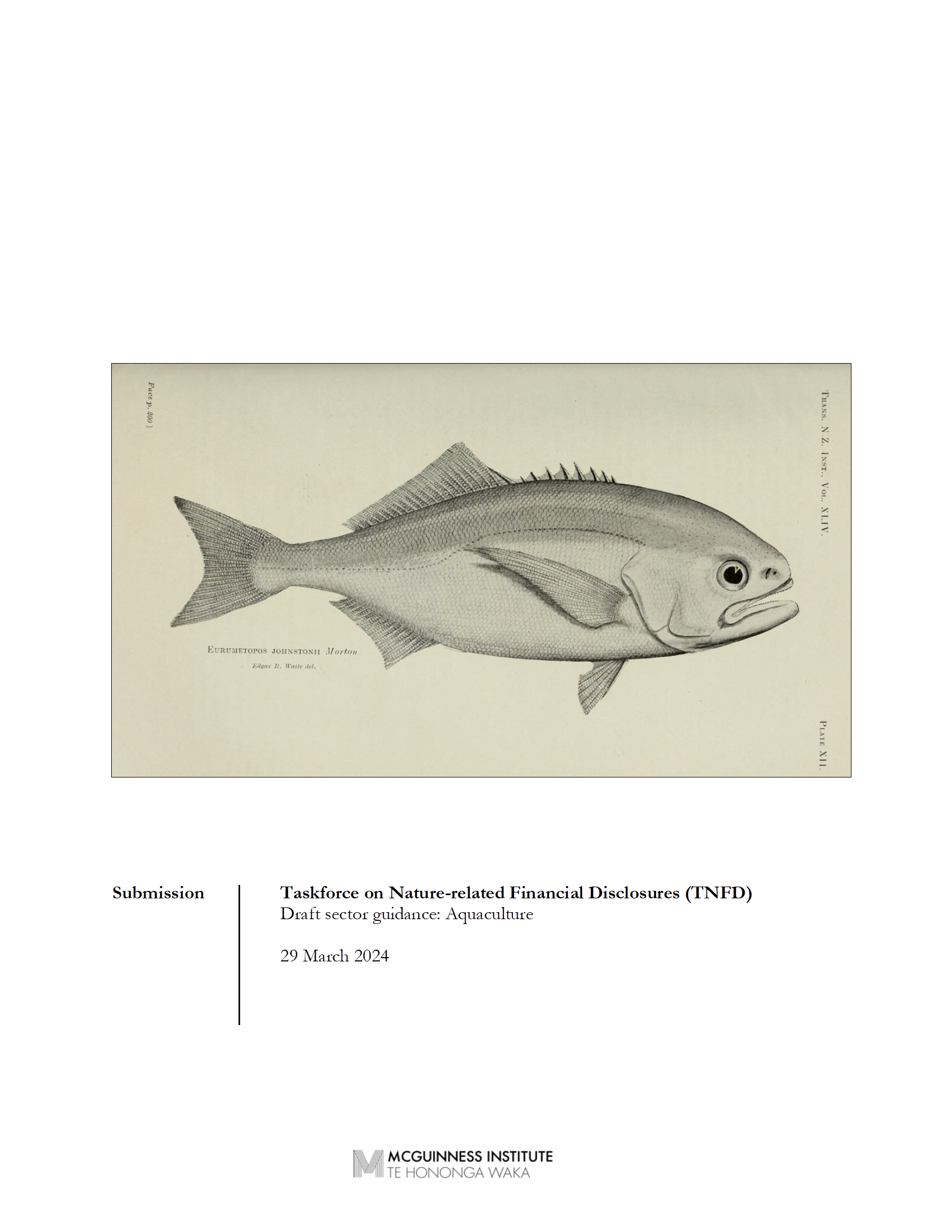 Submission 2024/02 – Taskforce on Nature-related Financial Disclosures (TNFD)